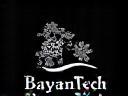 BayanTech Solutions Company Logo